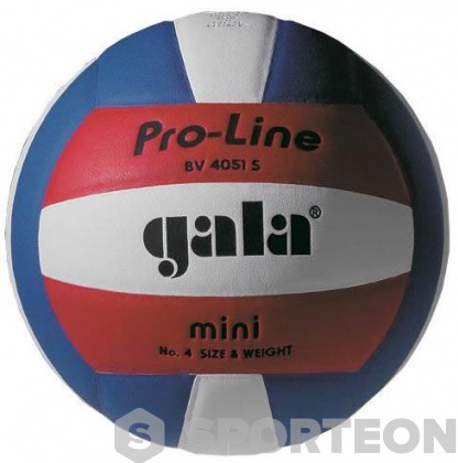 Piłka siatkowa Gala Pro-Line Mini BV 4051 S