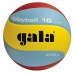 Gala Volleyball 10 BV 5651 S 230g