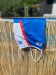 Damski strój kąpielowy BornToSwim CZE Swimsuit Blue