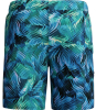 Speedo Print Boardshort 18