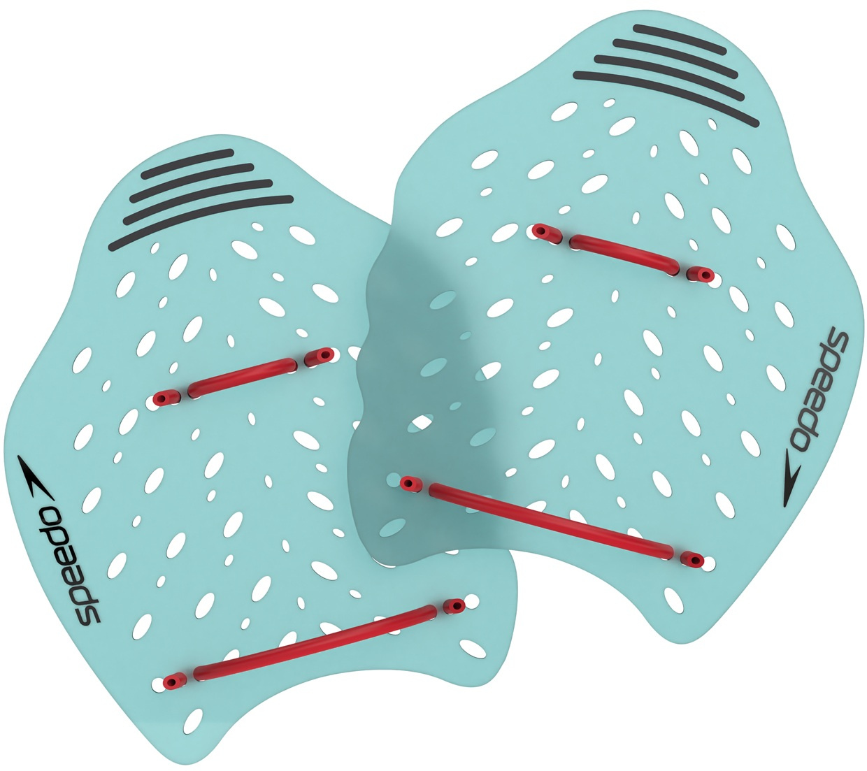 Speedo power plus paddle xl